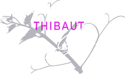 Logo Champagne Thibaut Gisony